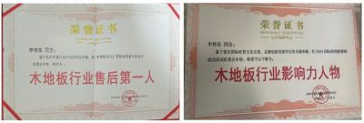 木地板優(yōu)秀行業(yè)優(yōu)秀勞?！陚|
